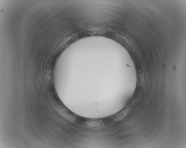 X0000082720756200702232321