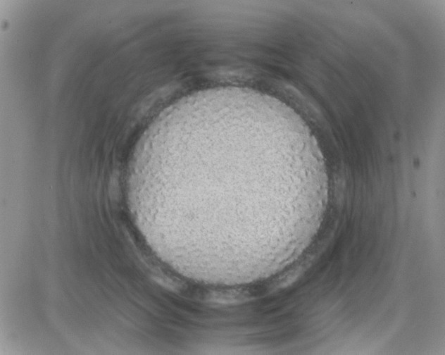 X0000082720757200702232321