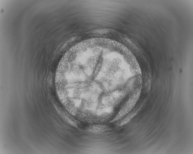 X0000082720758200702232321