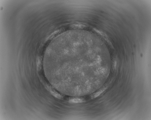 X0000082720759200702232321