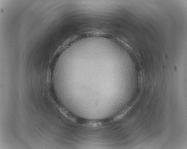 X0000082720760200702232321