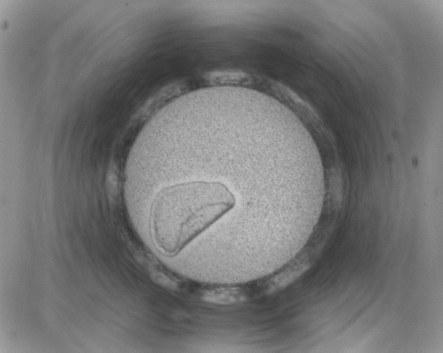 X0000082720761200702232321