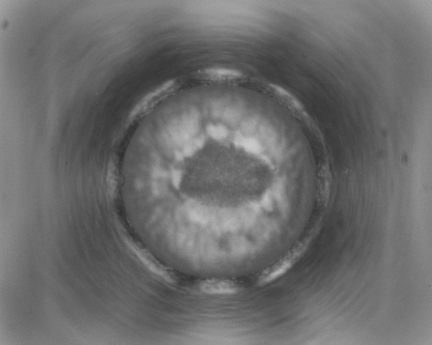 X0000082720762200702232321