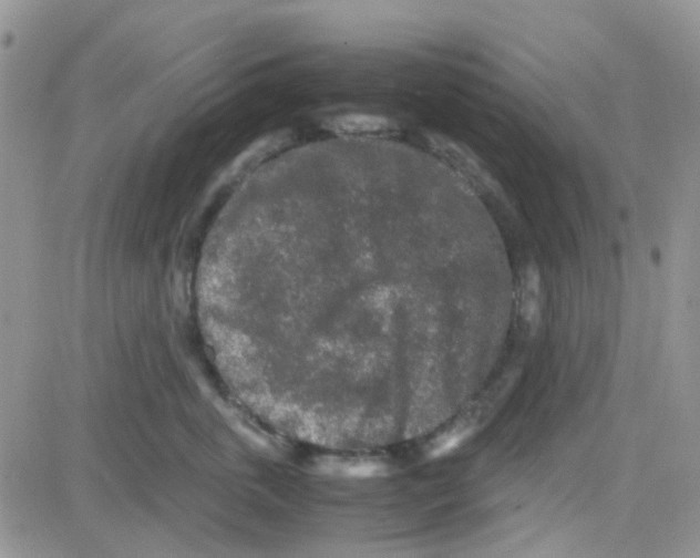 X0000082720763200702232321