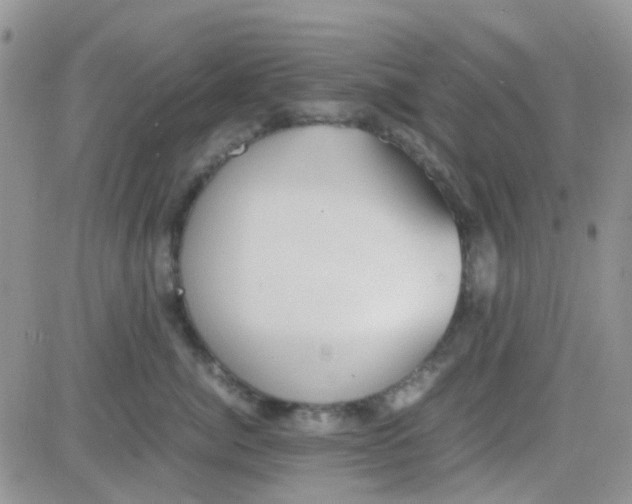 X0000082720764200702232321