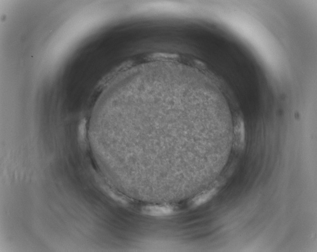 X0000082720765200702232321