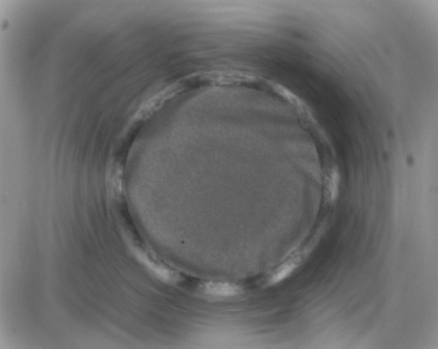 X0000082720766200702232321