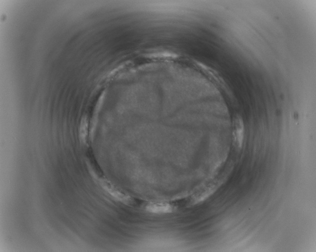 X0000082720767200702232321