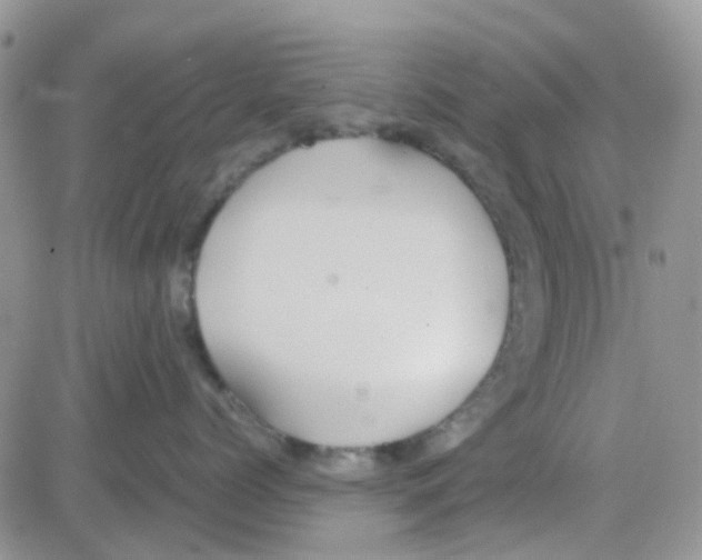 X0000082720768200702232321