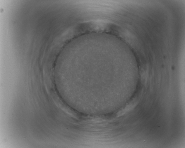 X0000082720769200702232321