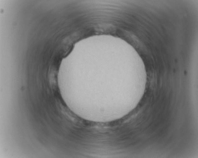 X0000082720770200702232321