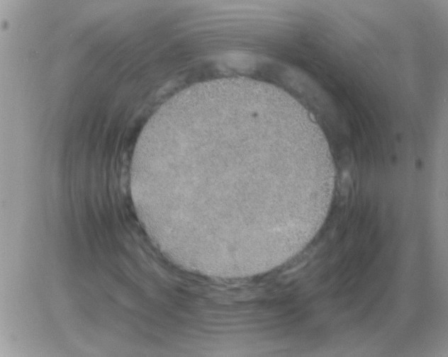 X0000082720772200702232321