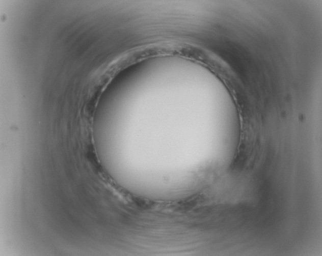 X0000082720773200702232321