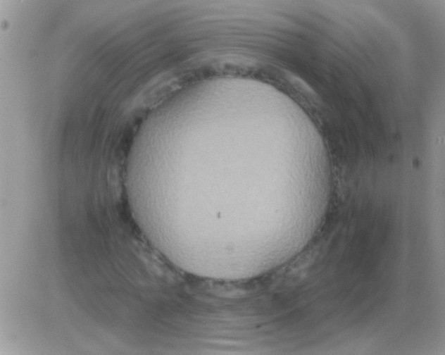 X0000082720774200702232320