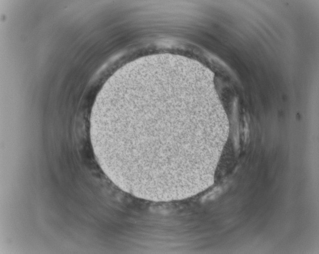 X0000082720776200702232320