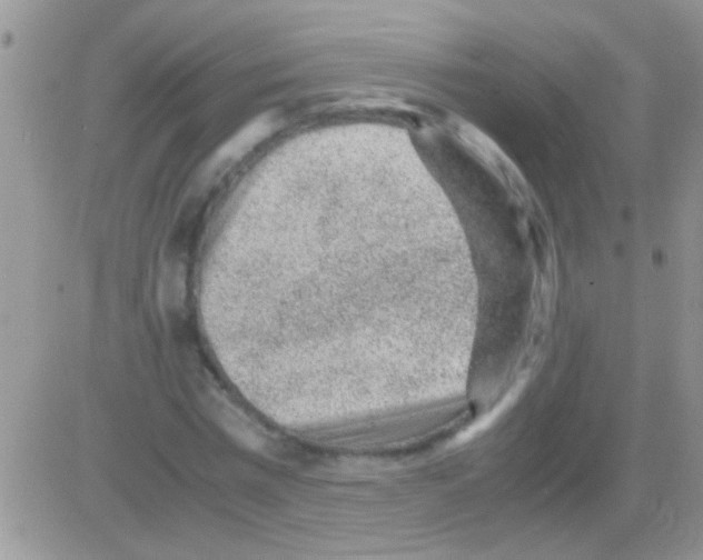 X0000082720777200702232320