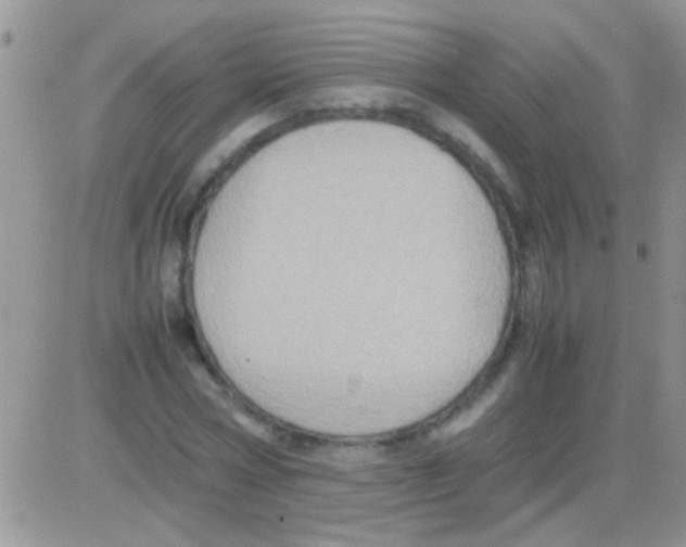 X0000082720778200702232320