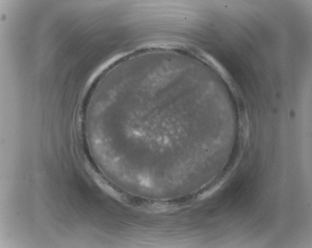 X0000082720779200702232320