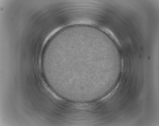 X0000082720780200702232320