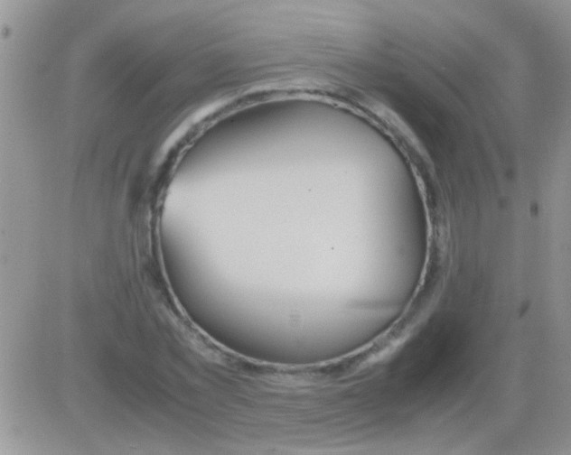 X0000082720781200702232320