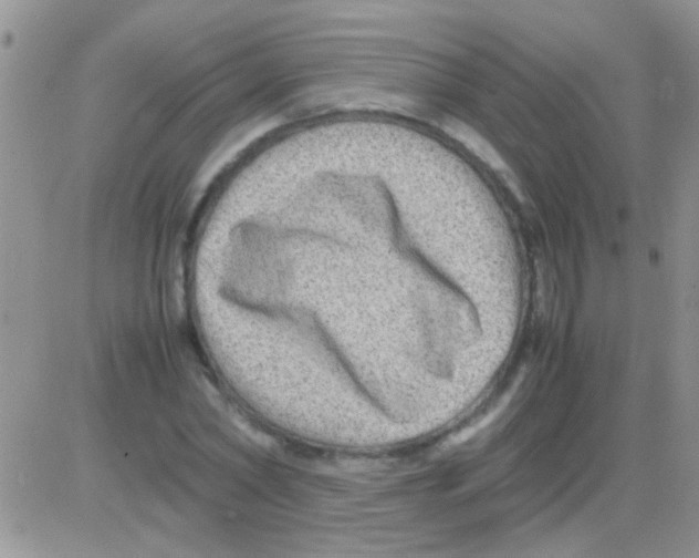 X0000082720782200702232320