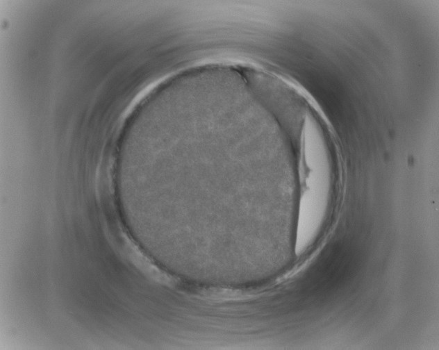 X0000082720783200702232320