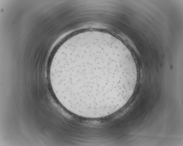 X0000082720784200702232320