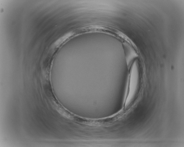 X0000082720785200702232320