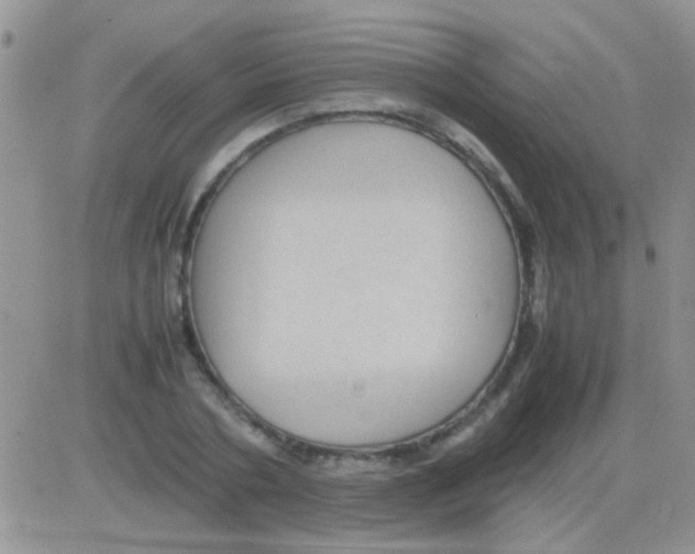 X0000082720786200702232320