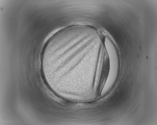 X0000082720787200702232320