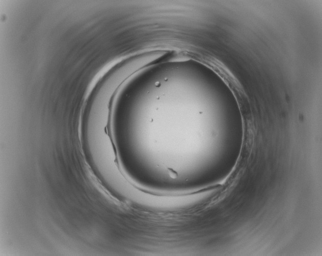 X0000082720788200702232320