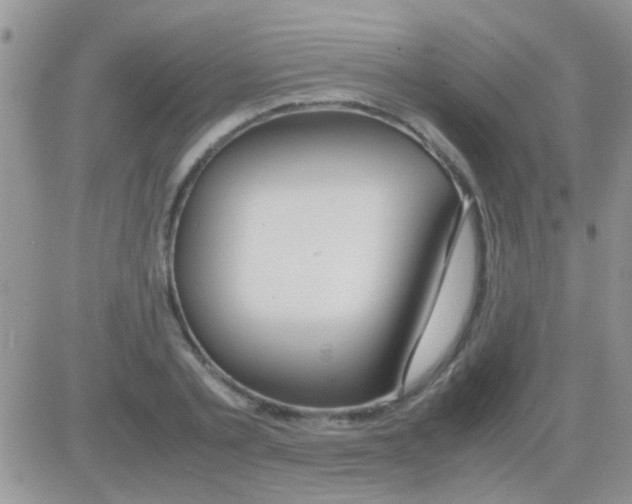 X0000082720789200702232320