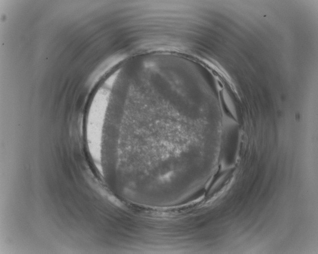 X0000082720790200702232320