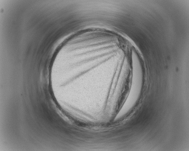 X0000082720791200702232320