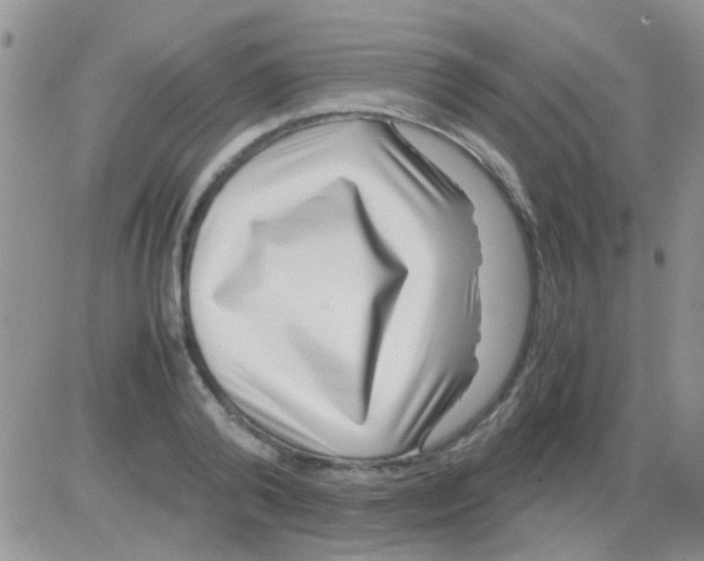 X0000082720792200702232320