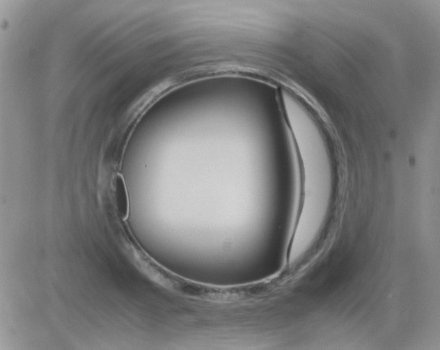 X0000082720793200702232320