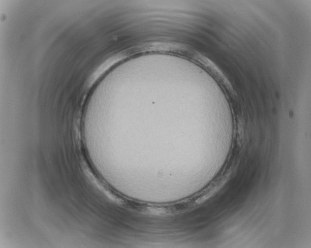 X0000082720794200702232320