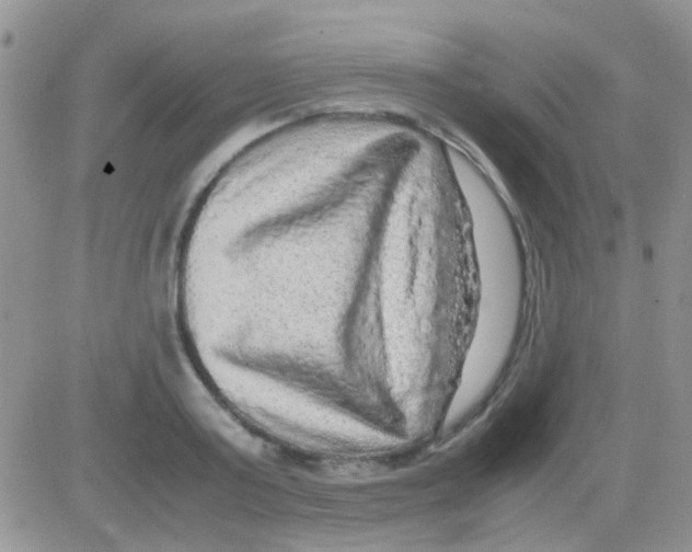 X0000082720795200702232320