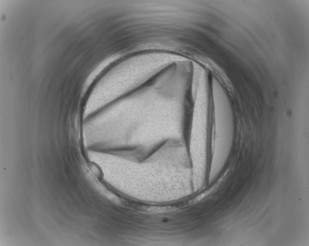 X0000082720796200702232320