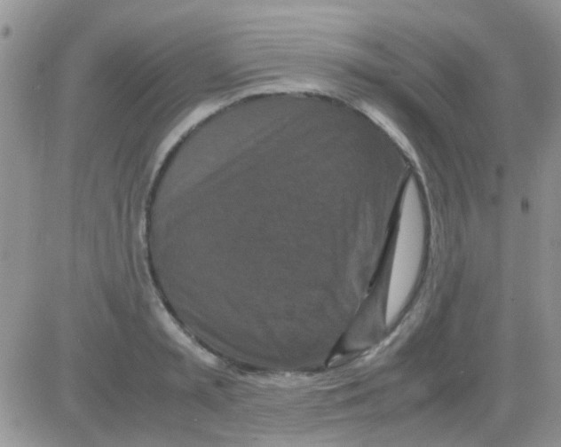 X0000082720797200702232320