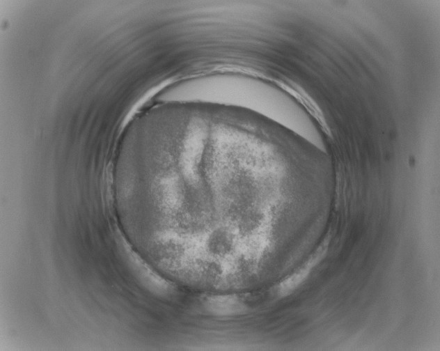 X0000082720798200702232320