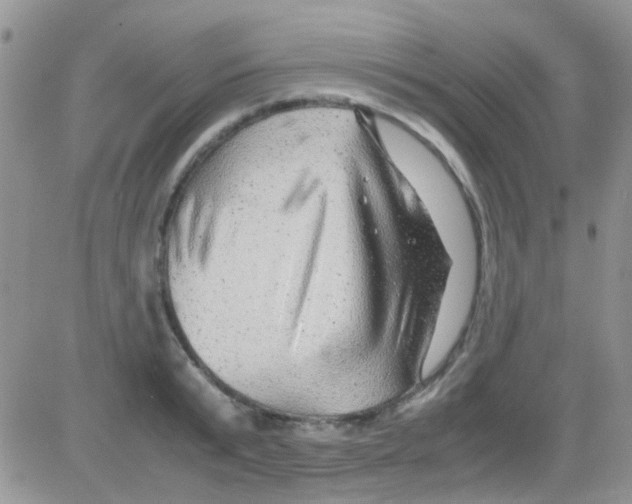 X0000082720799200702232320