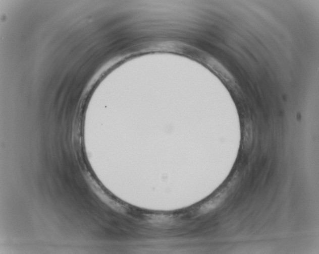 X0000082720800200702232320