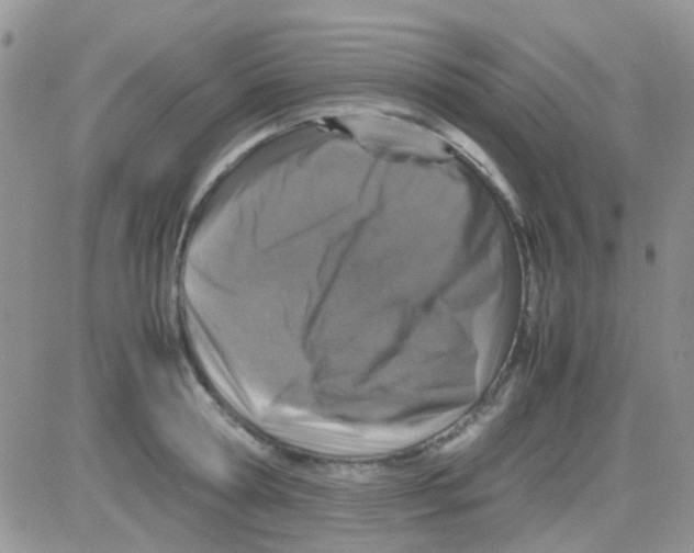 X0000082720802200702232320