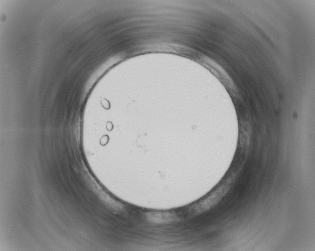 X0000082720804200702232320