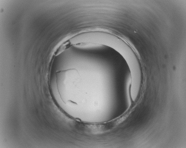 X0000082720805200702232320