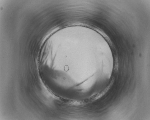 X0000082720806200702232320