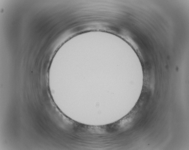 X0000082720807200702232320