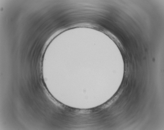 X0000082720808200702232320