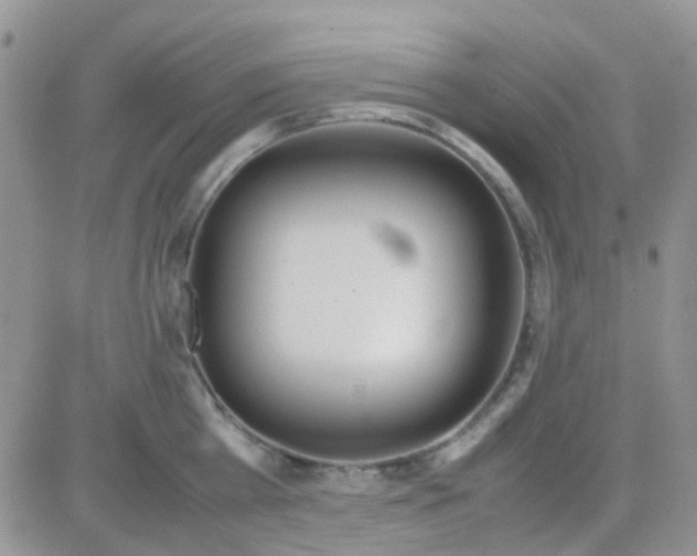 X0000082720809200702232320